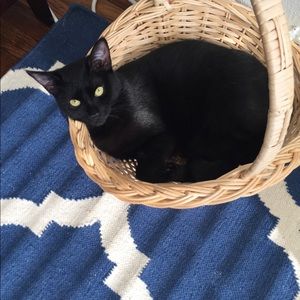 Meet your Posher, Jamie